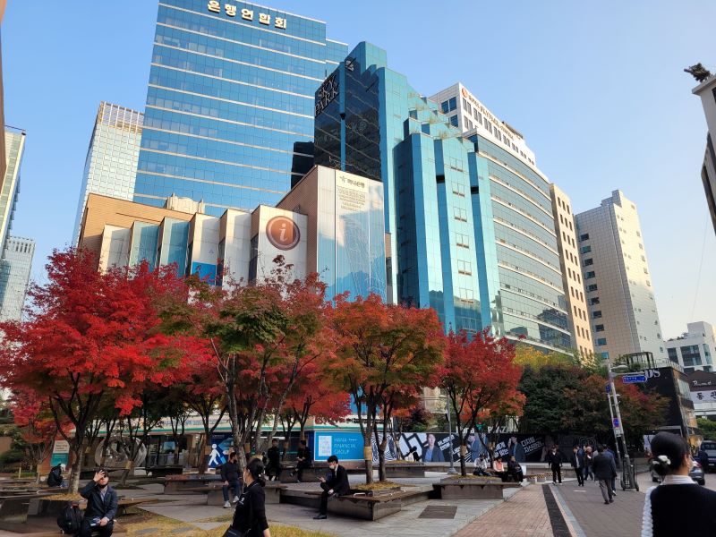Dzielnica Meyongdong w Seulu, widok na wieżowce, przed budynkami drzewo z czerwonymi liśćmi