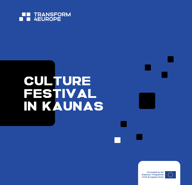 Culture Festival in Kaunas