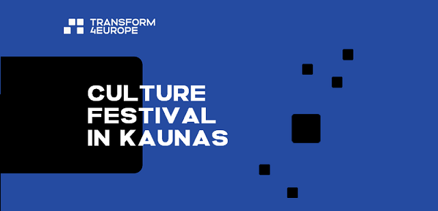 Culture Festival in Kaunas