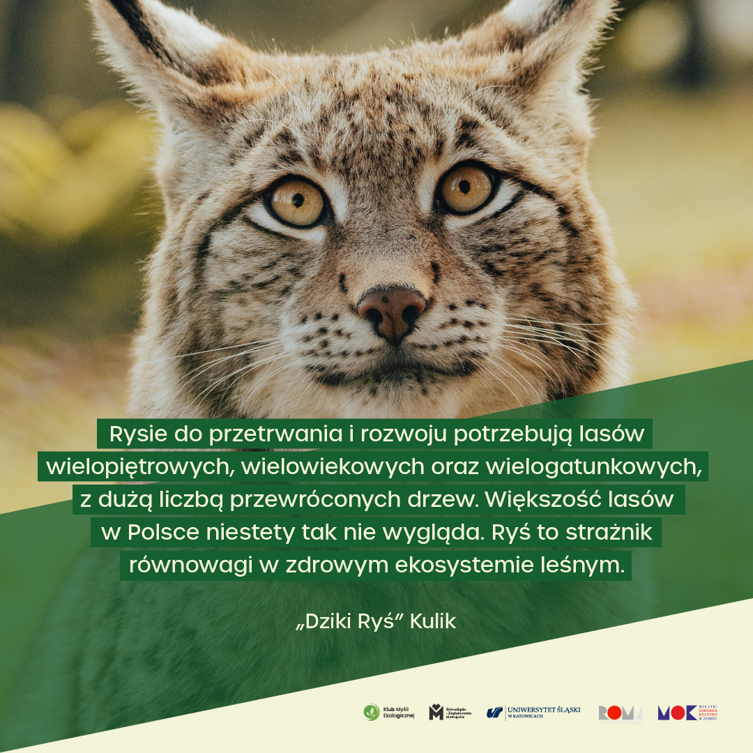 Grafika promująca 8. spotkanie z eko-filmem