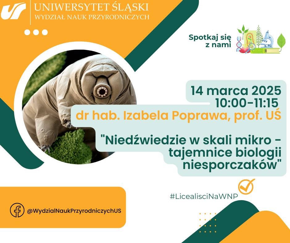 Grafika promująca wykład dr hab. Izabeli Poprawy, prof. UŚ: „Niedźwiedzie w skali mikro - tajemnice biologii niesporczaków”