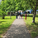 vlcsnap-2026-06-18-11h17m23s372