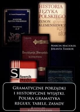 Gramatyczne porządki i historyczne wyjątki : polska gramatyka - reguły, tabele, zasady. 