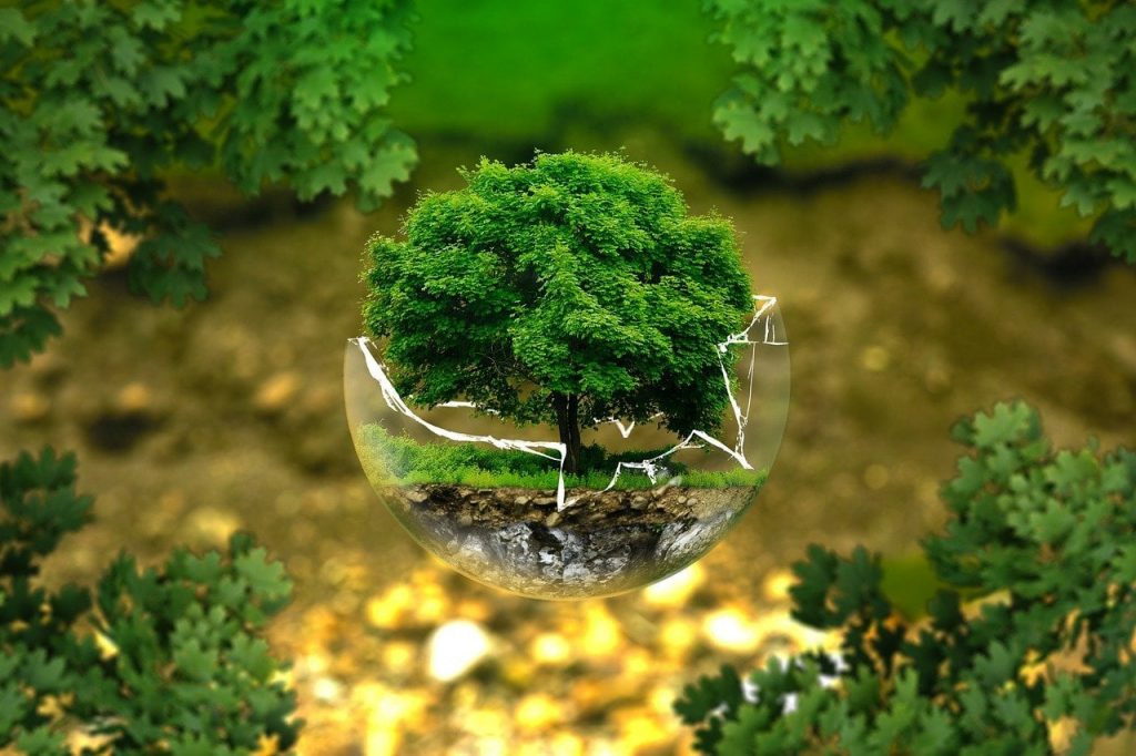 miniaturka drzewa w pękniętej szklanej kuli