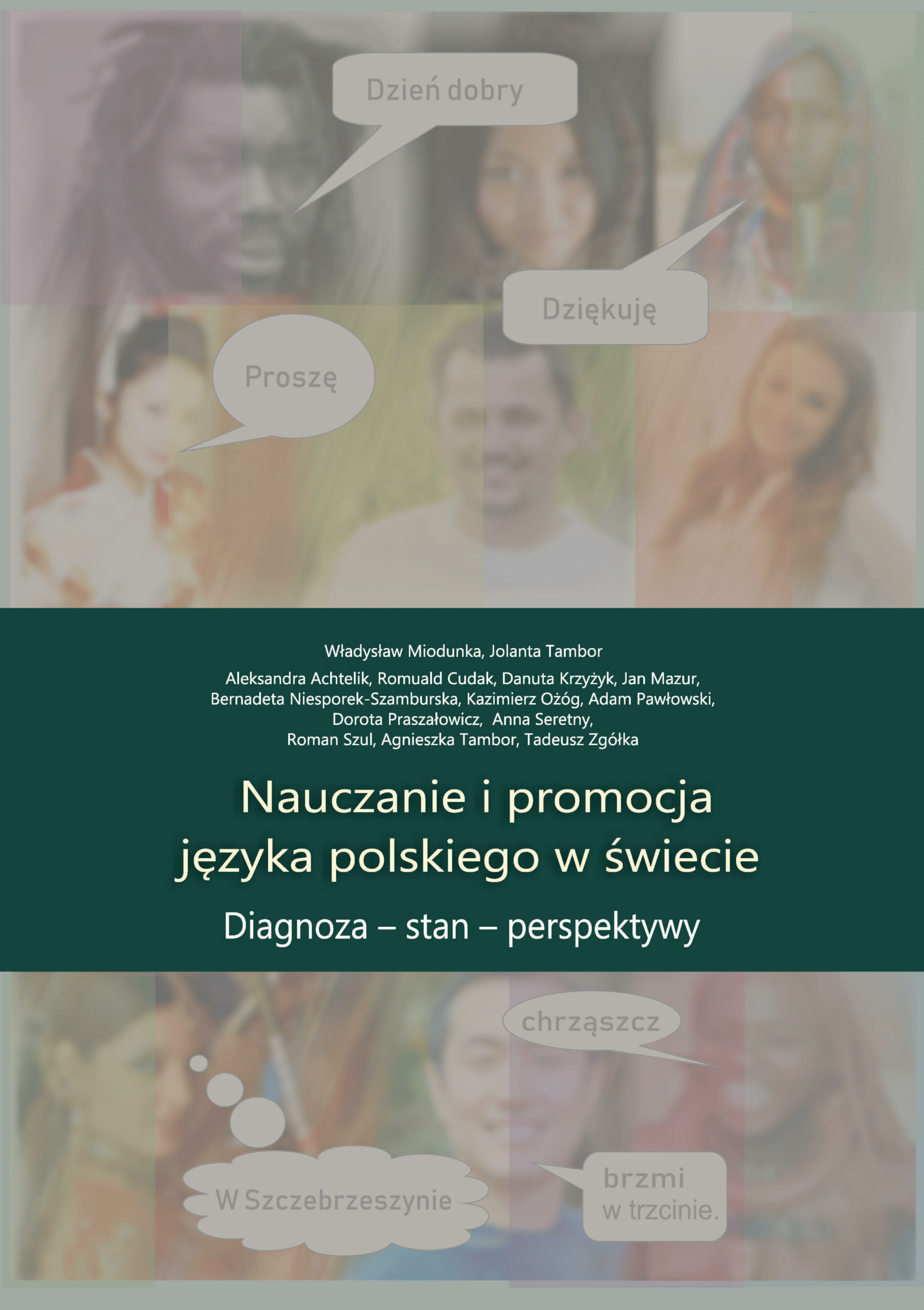 okładka książki Nauczanie i promocja języka polskiego w świecie: diagnoza - stan - perspektywy