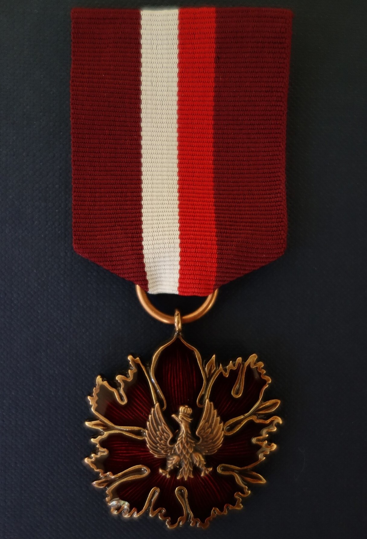 zdjęcie przedstawiające Brązowy Medal „Zasłużony Kulturze Gloria”