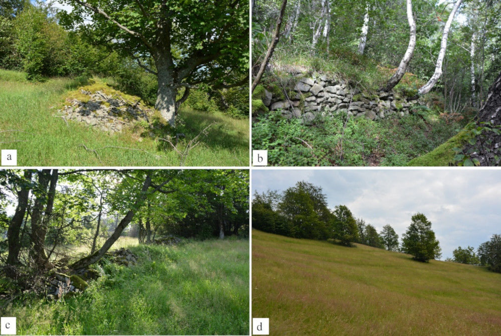 Anthropogenic terrain forms: a) stone mound, b) stone wall, c) lynchet, d) terraces.