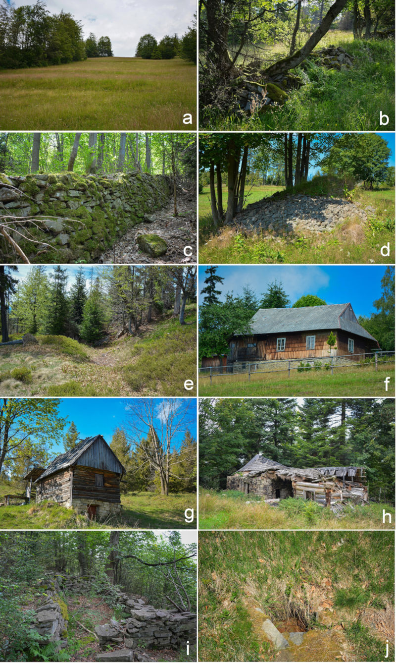 Terrain forms and objects connected with past land use: a) embankments of agricultural terraces in Praszywka, b) balk in Praszywka, c) stone wall in Ostre, d) stone mound in Szczytkówka, e) abandoned road in Radziechowska, f) residential building in Szczytkówka, g) farm building in Ostre, h) ruin of residential building in Łabysówka, i) remain of farm building in Praszywka, j) water intake in Jaworzyna.