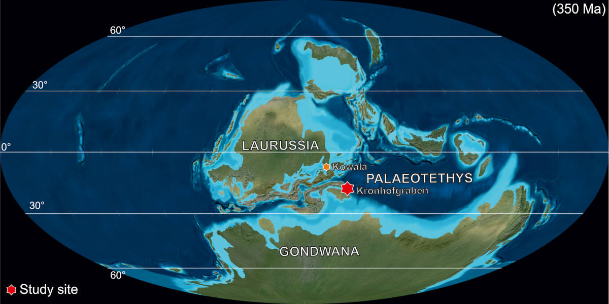 Położenie paleogeograficzne w turneju (~350 mln lat temu; Blakey, 2012) z zaznaczonym położeniem obszaru badań oraz kamieniołomu Kowala.