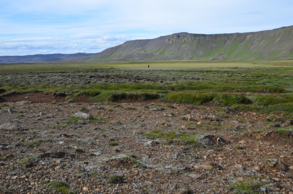 Typical landscape of north-east Iceland with visible traces of active erosion processes and soil degradation.