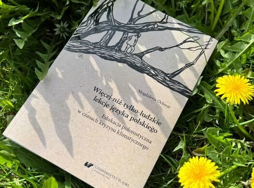 zdjęcie książki położonej na trawie wśród żółtych kwiatów