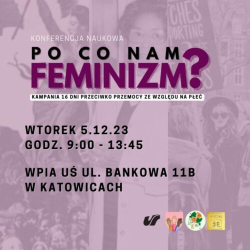 Po co nam feminizm? Kampania 16 Dni przeciwko przemocy ze względu na płeć