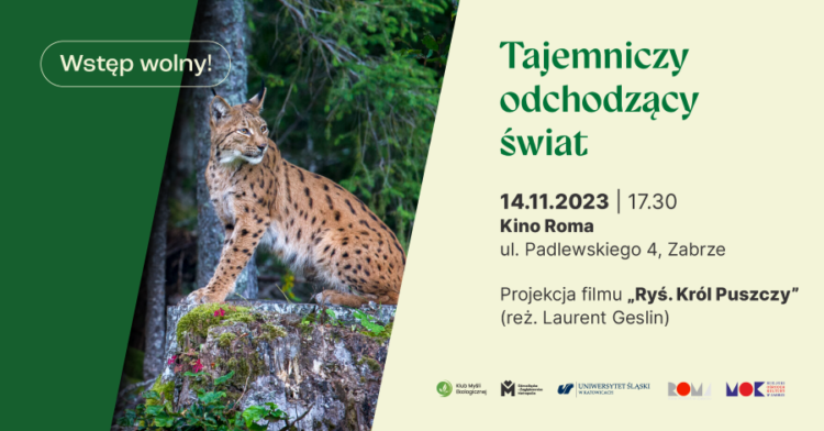 (Polski) Tajemniczy odchodzący świat | Projekcja filmu „Ryś. Król Puszczy”