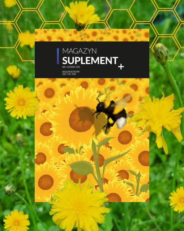 Egzemplarz Magazynu „Suplement” na tle kwiecistej trawy.