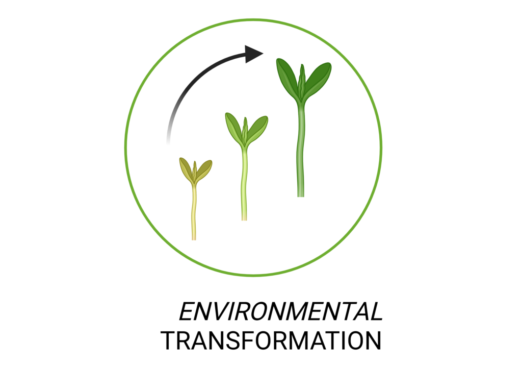 ENVIRONMENTAL TRANSFORMATION