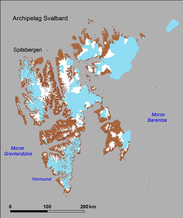 Mapa lodowców Svalbardu: na niebiesko zaznaczono lodowce uchodzące do morza, na biało – lodowce kończące się na lądzie, a teren niezlodowacony – na brązowo Oprac. dr inż. Małgorzata Błaszczyk