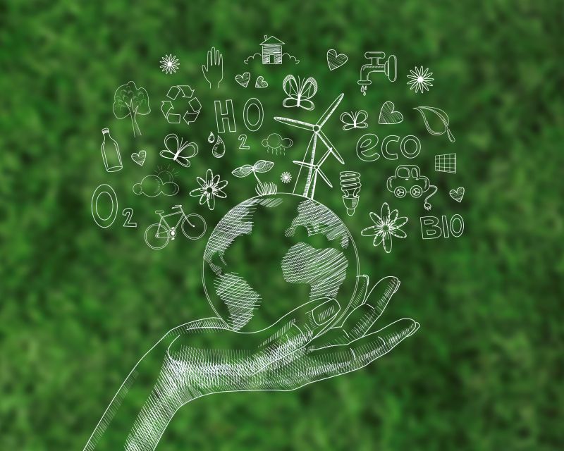 EKOinspiracje – Akademia Edukacji Klimatyczno-Środowiskowej dla Nauczycieli