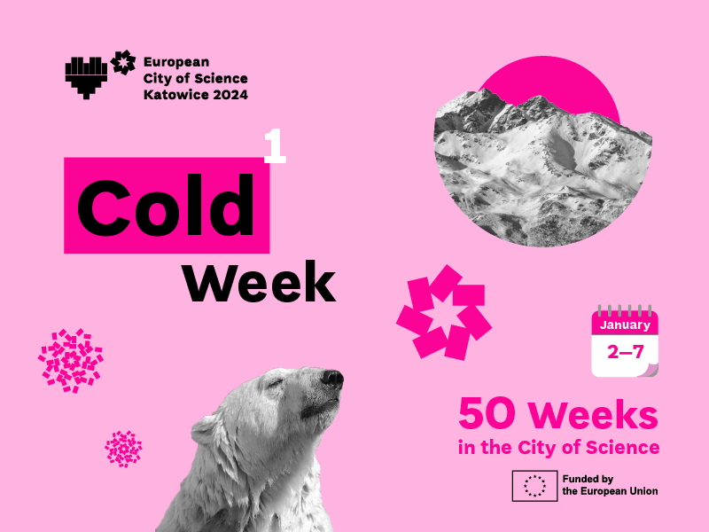 Graphic with a polar bear and text: Cold Week, 50 Weeks in the City of Science