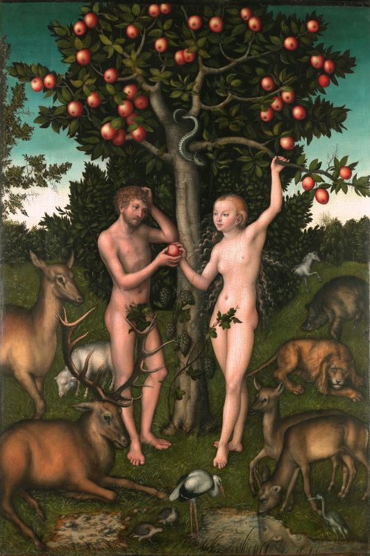 Lucas Cranach Starszy, Adam i Ewa. Dzieło ze zbiorów Courtauld Institute of Art w Londynie