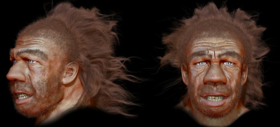 Wykonana przez dr. Andrzeja Boczarowskiego rekonstrukcja twarzy neandertalczyka, którego czaszkę widać na poprzednim zdjęciu | fot. Andrzej Boczarowski