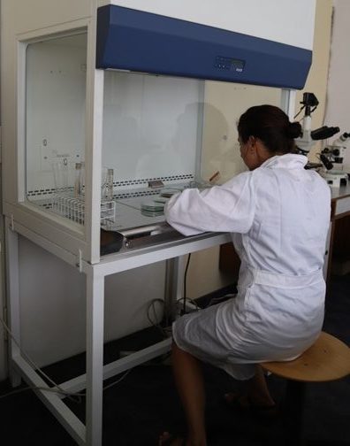 Kobieta prowadząca analizy mikrobiologiczne w laboratorium