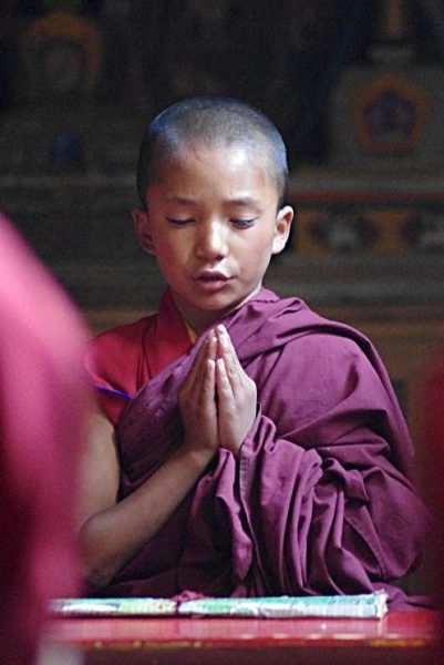 Modlący się młody mnich buddyjski