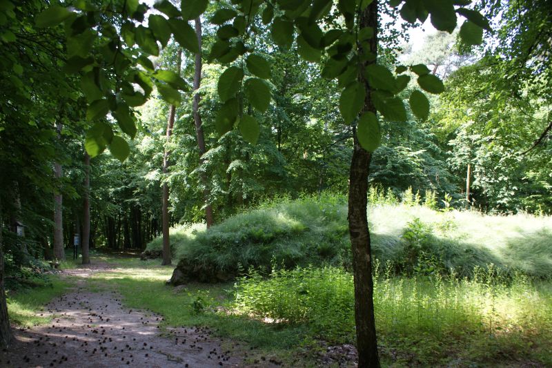 Park Kulturowy Wietrzychowice | fot. Anna Żemła-Siesicka
