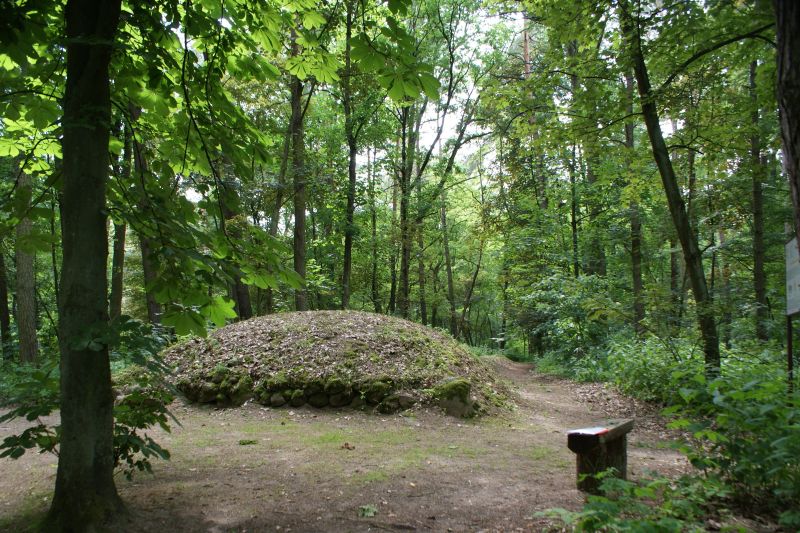 Park Kulturowy w Sarnowie | fot. Anna Żemła-Siesicka