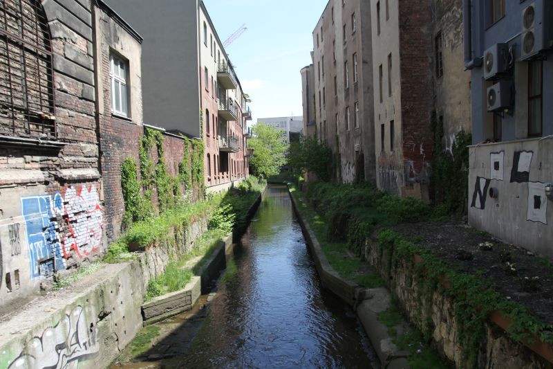 Rawa w centrum Katowic | Fot. Agnieszka Sikora