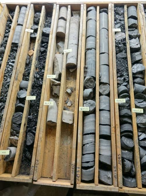 Węgiel i skały węglonośne w rdzeniu wiercenia Gołkowice IV z głębokości 1085–1104 m pod powierzchnią terenu | Fot. Justyna Ciesielczuk