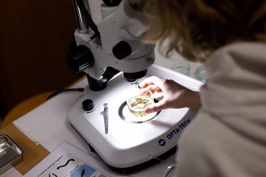 zbliżenie na probówkę trzymaną pod mikroskopem