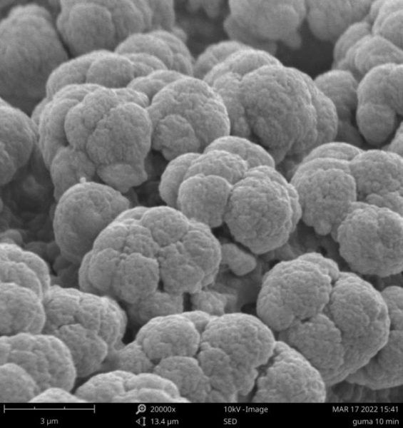Cząstki pyłu z opon widziane przez mikroskop