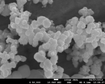 Nanocząstki tlenku miedzi (I), zdjęcie wykonane przy użyciu elektronowego mikroskopu skaningowego
