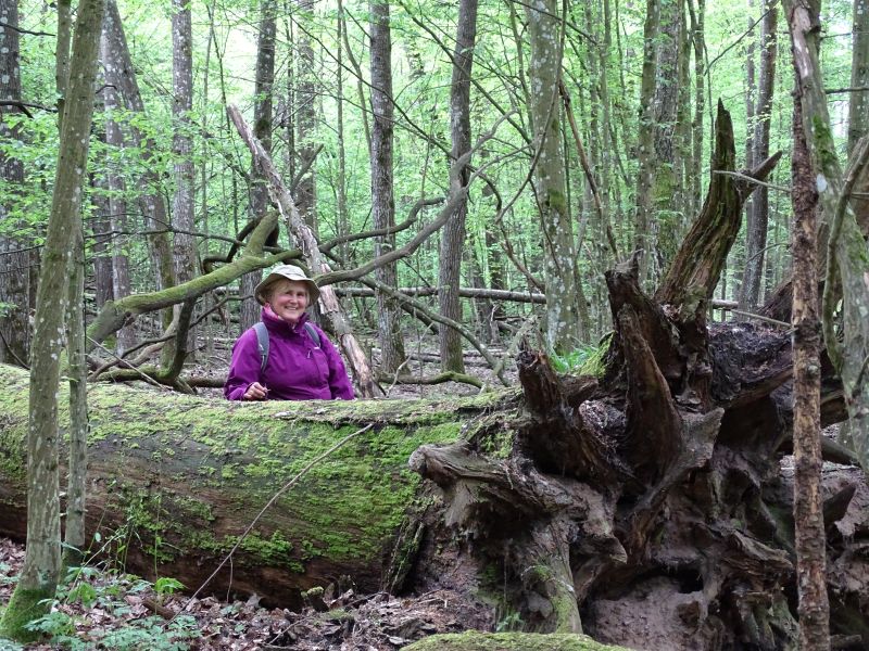 dr hab. Anna Orczewska, prof. UŚ | archiwum prywatne