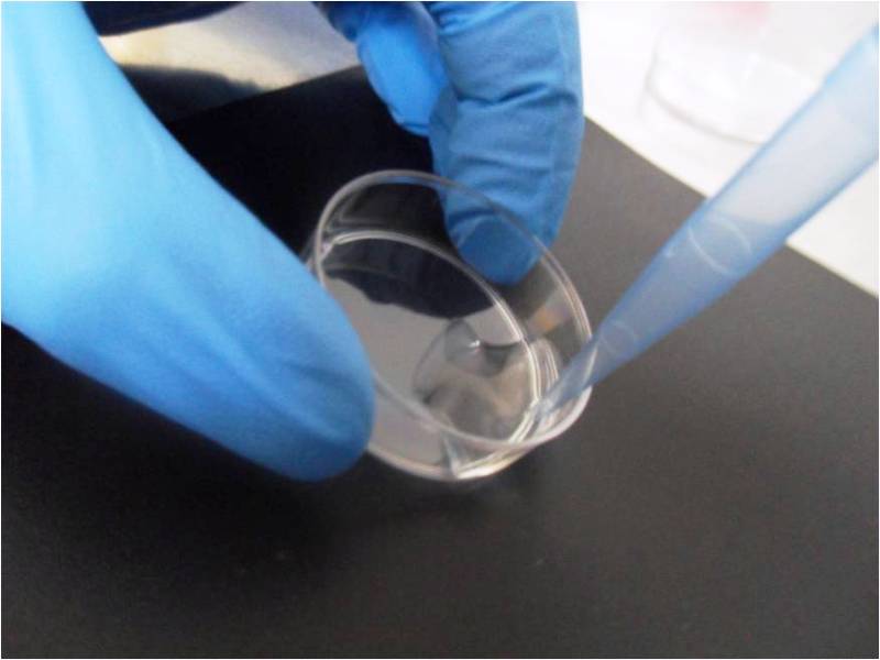 Zdjęcie wykonane w laboratorium, zbliżenie na dłoń naukowca i próbkę analizowanego materiału