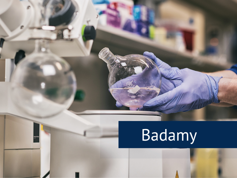 Badamy