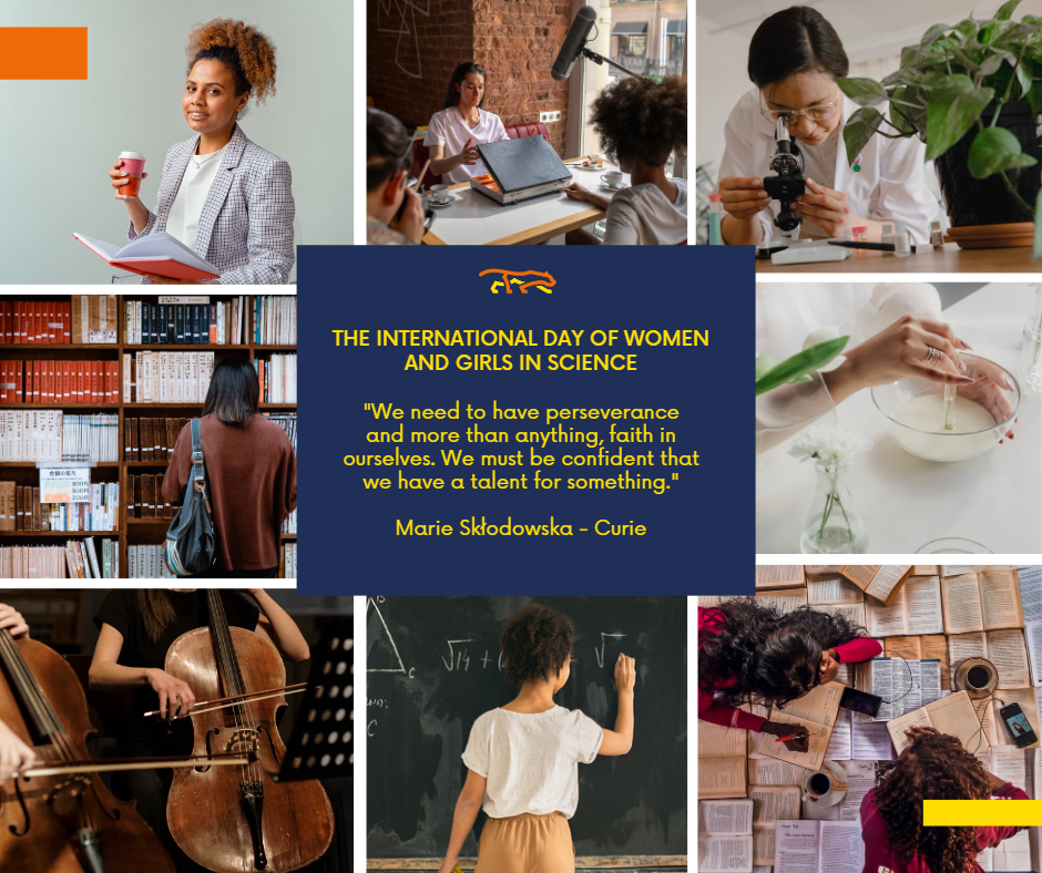 Women and Girls in Science - a collage of photographs. Text: "We need to have perseverance and more than anything, faith in ourselves. We must be confident that we have a talent for something". Marie Skłodowska-Curie