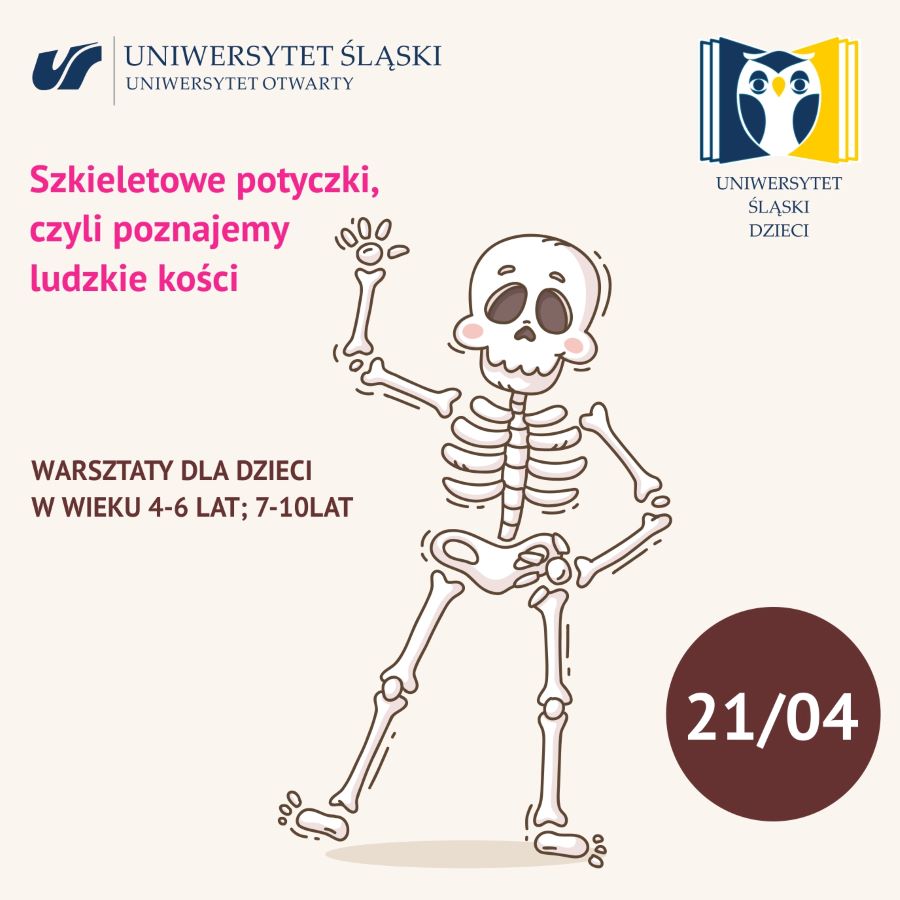 grafika promująca warsztaty „Szkieletowe potyczki, czyli poznajemy ludzkie kości”