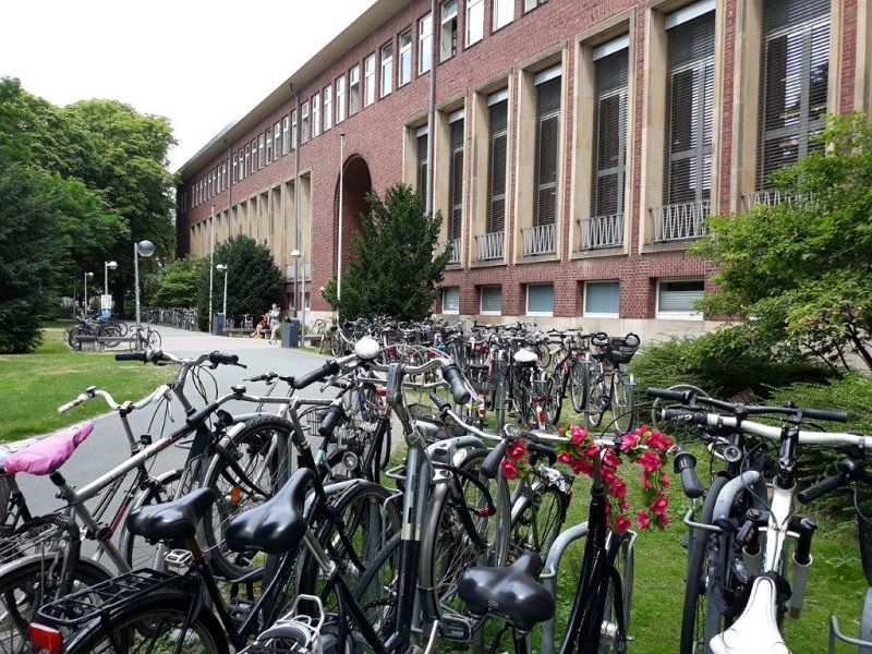 na pierwszym planie rowery, w tle budynek Uniwersytetu w Monastyrze