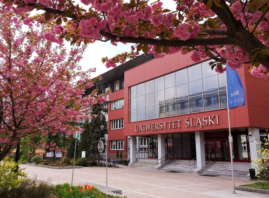 Rektorat Uniwersytetu Śląskiego wiosną, wokół pięknie kwitnące drzewa z różowymi kwiatami