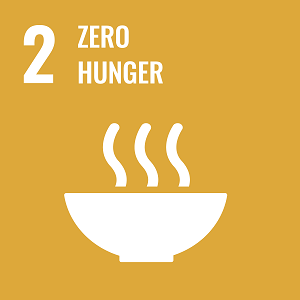 UN Goal 2 icon: the words zero hunger on a yellow background