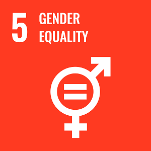 UN Goal 5 icon: the words gender equality on an orange background