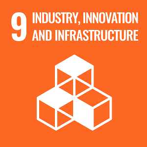UN Goal 9 icon: the words industry, innovation and infranstructure on an orange background