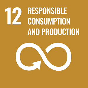 UN Goal 12 icon: the words responsible consumption and production on a brown background