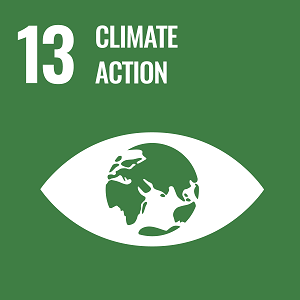 UN Goal 13 icon: the words climate action on a green background