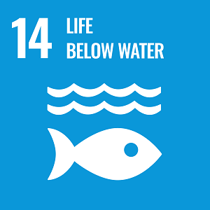 UN Goal 14 icon: the words life below water on a blue background