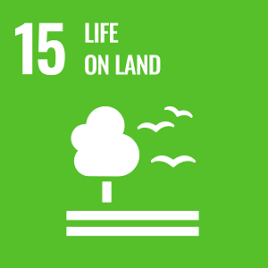 UN Goal 15 icon: the words life on land on a green background