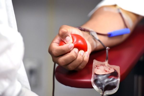 Oddawanie krwi