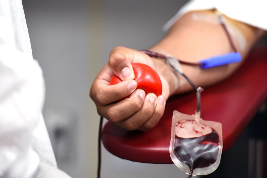 Oddawanie krwi/Blood donation