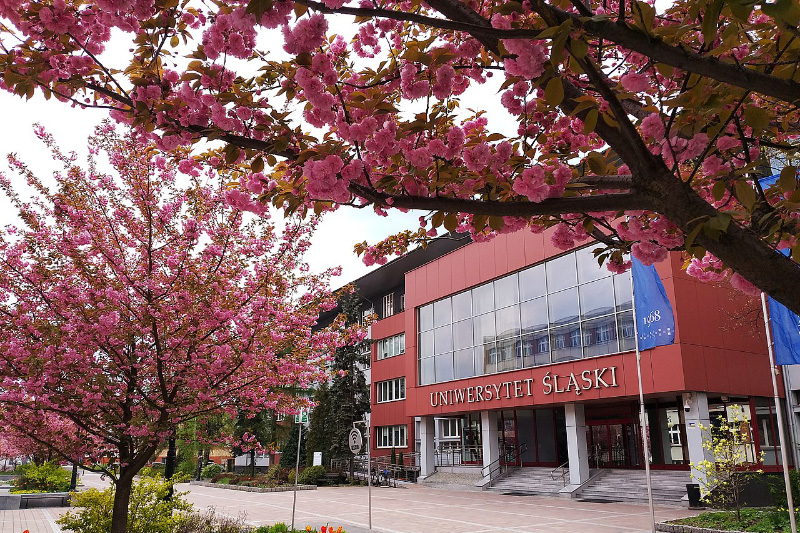 Rektorat Uniwersytetu Śląskiego/Rectorate of the University of Silesia